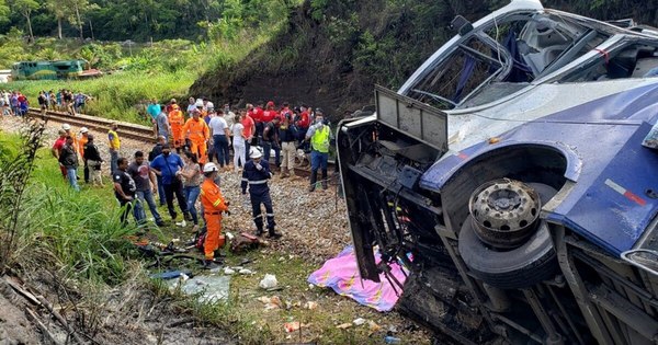 La Nación / Al menos 16 muertos al caer un autobús a un barranco en el sureste de Brasil