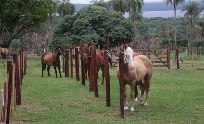 HOY / Haras La Valtellina, un paraíso de Altos para cabalgar y compartir