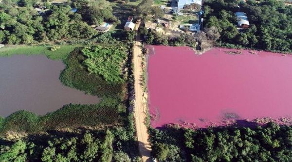Laguna Cerro: se desmoronó el camino que separaba el área sana del área contaminada