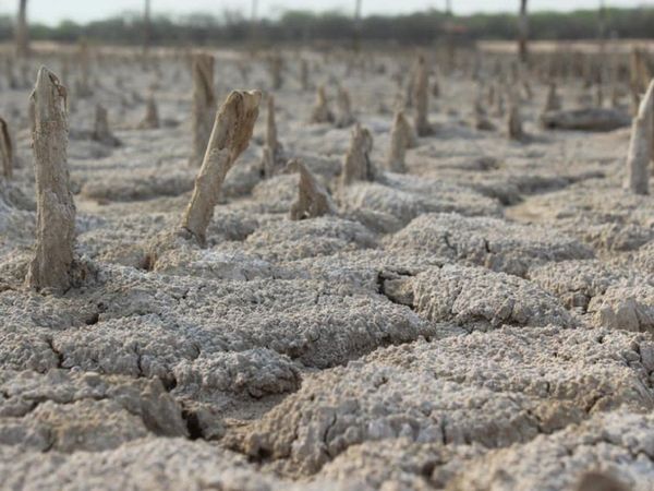 Premian fotografías del concurso del Sopacis