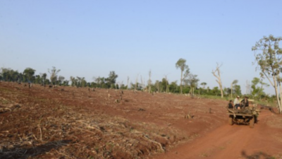 Instan a aprobar “Deforestación cero”
