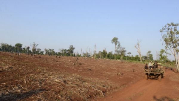 Instan a aprobar “Deforestación cero”
