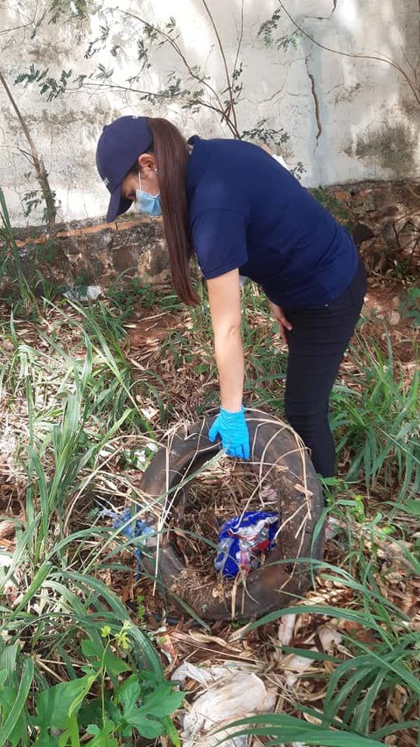 Verifican 380 viviendas en lucha contra el dengue - ABC en el Este - ABC Color