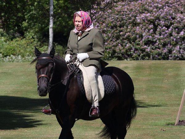 Isabel II y el duque de Edimburgo serán vacunados contra el Covid