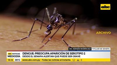 Senepa insta a provechar el feriado para eliminar criaderos de dengue - Nacionales - ABC Color