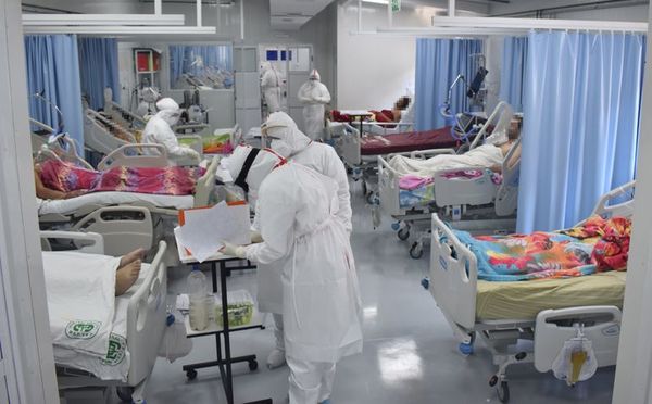Salud pide establecer diagnóstico diferencial por cocirculación de virus - Nacionales - ABC Color