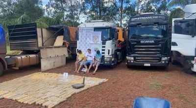 Incautan casi 1 tonelada de marihuana oculta en camiones de gran porte