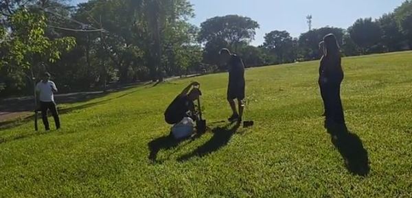 Plantan árbolitos de tajy en plaza del Área 8 de CDE