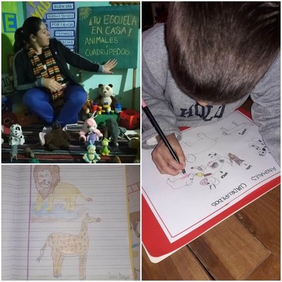 Clases virtuales registraron más de 32 millones de descargas de contenidos educativos | .::Agencia IP::.