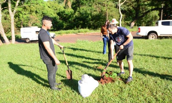 Arborizan varios puntos de CDE