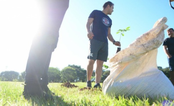 Continúa campaña de reforestación encarada por la Municipalidad de CDE