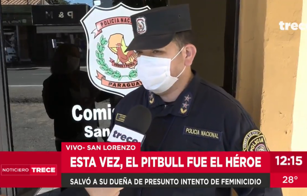 Pitbull salva a su dueña de presunto intento de feminicidio