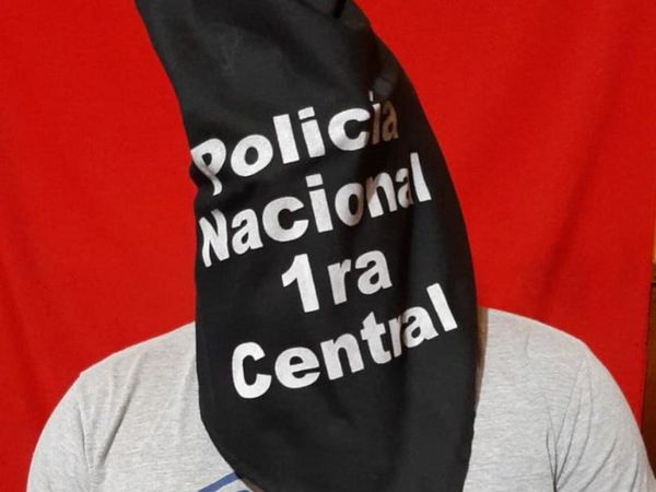 Perro héroe: salvó a su dueña cuando el novio trató de ahorcarla