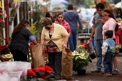 Flor de Nochebuena no abandona los hogares mexicanos en la Navidad del virus - MarketData