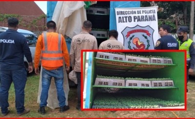 Cuatro detenidos por transportar plantines de marihuana