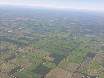 WWF pide a Diputados extender Ley de Deforestación Cero