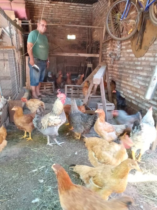 Crónica / El fotógrafo de Caacupé cambió el caballito por unas gallinitas