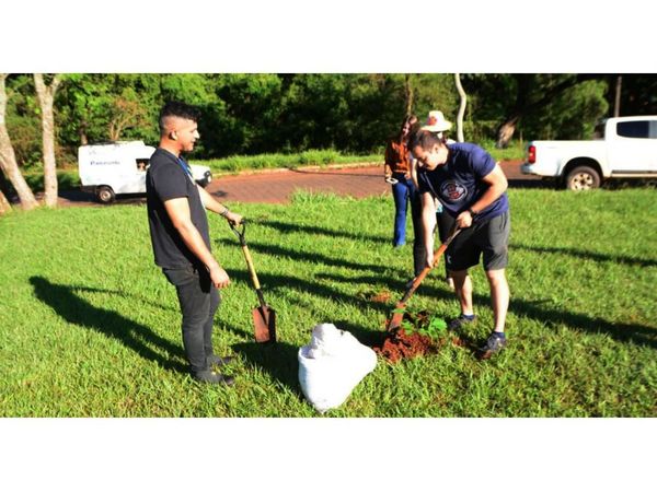 CDE: Con plantas nativas reforestan plazas y cuenca de arroyo Amambay