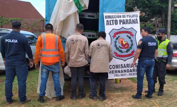 Transportaban plantines de marihuana de manera ilegal y quedaron detenidos