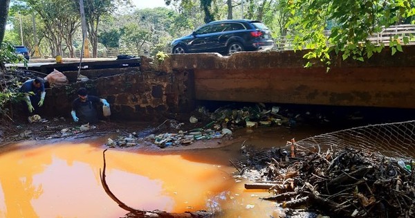 “Los vairos” llenan de basura la red de drenaje del puente Pesoa – Diario TNPRESS