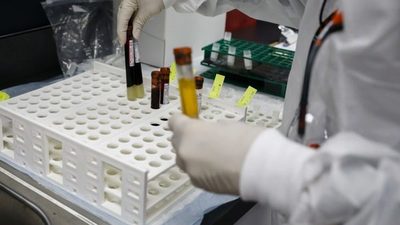 Pfizer Shot efectivo, seguro, según el personal de la FDA