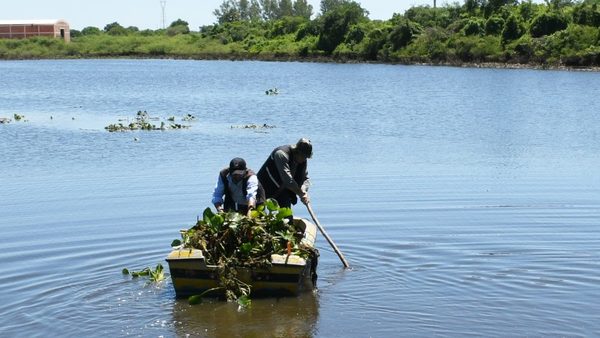 La naturaleza da una nueva oportunidad