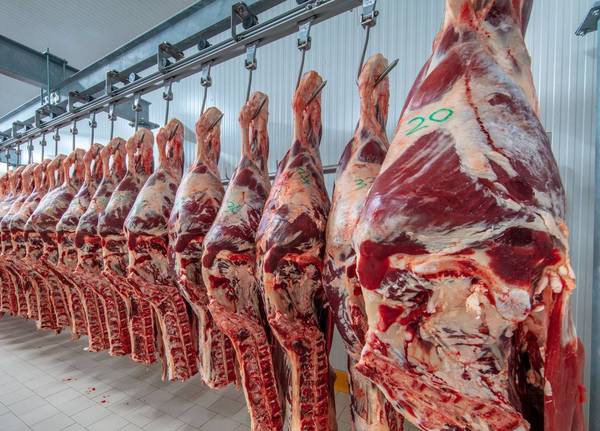 Chile aumentó 23,8% las compras de carne vacuna paraguaya entre enero y octubre
