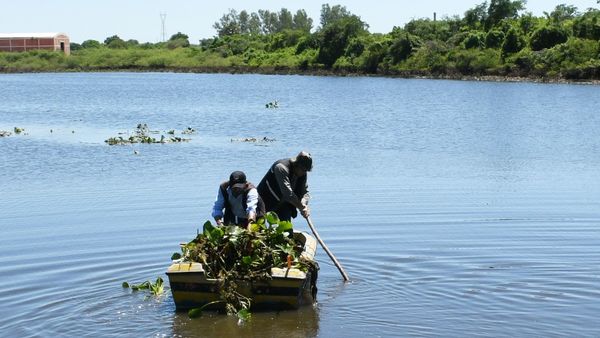 Naturaleza da nueva oportunidad para recuperar Laguna Cerro - El Trueno