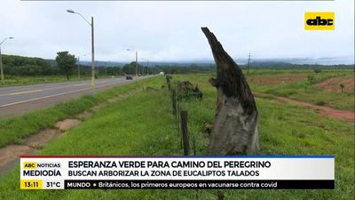 Buscan arborizar “el camino del peregrino” - Nacionales - ABC Color