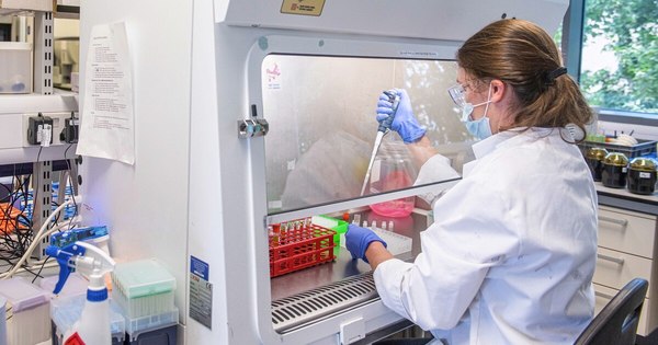 La Nación / Revista científica avala los resultados de AstraZeneca