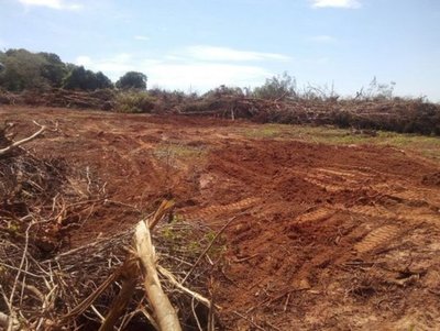 Esperan que Diputados apruebe ley de «deforestación cero» este miércoles