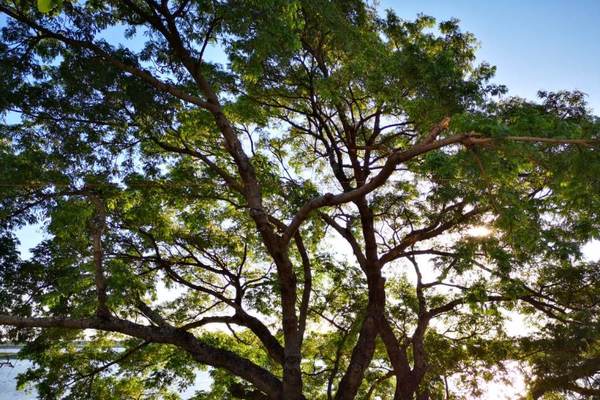 Meteorología anuncia temperaturas en ascenso · Radio Monumental 1080 AM