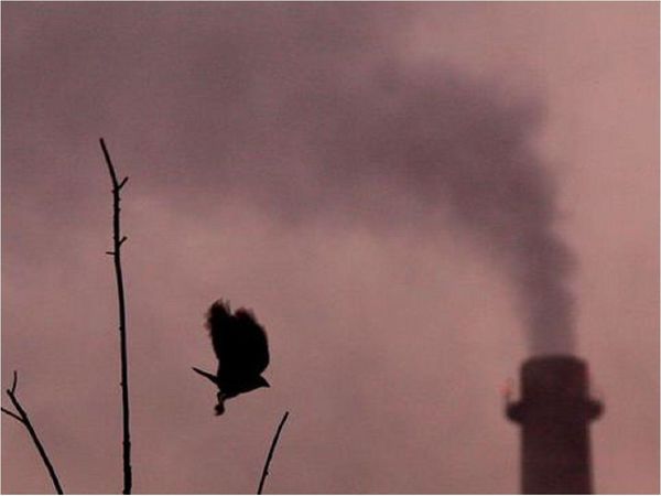 Emisiones de CO2 caerán 7% este año en el mundo por la pandemia
