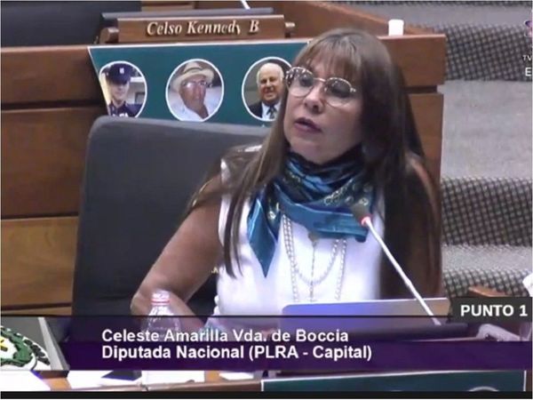 Celeste Amarilla retoma su banca reafirmándose sobre el dinero sucio