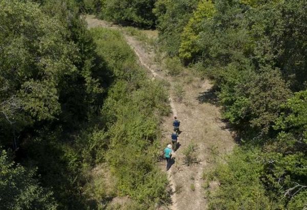 Marihuana: cómo es la mayor ruta de tráfico de cannabis en Europa