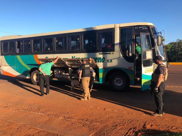 “Akira” detecta marihuana en bus de larga distancia - ABC en el Este - ABC Color