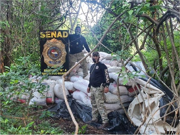 Congreso sanciona ley que crea la carrera de agente especial de la Senad