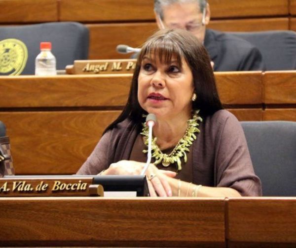 Celeste Amarilla retomó su banca y arremetió contra todos