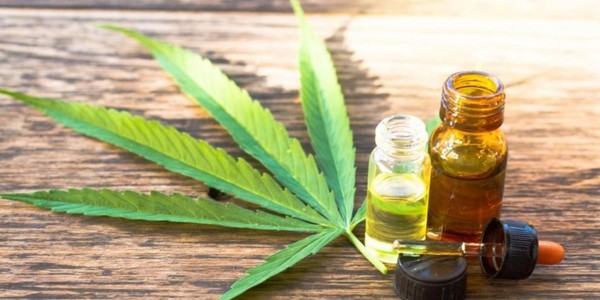 Dictámenes a favor y en contra del veto del Ejecutivo sobre cannabis medicinal
