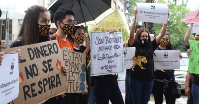 La Nación / Coalición por los Bosques celebra histórica ampliación de la Ley de Deforestación Cero
