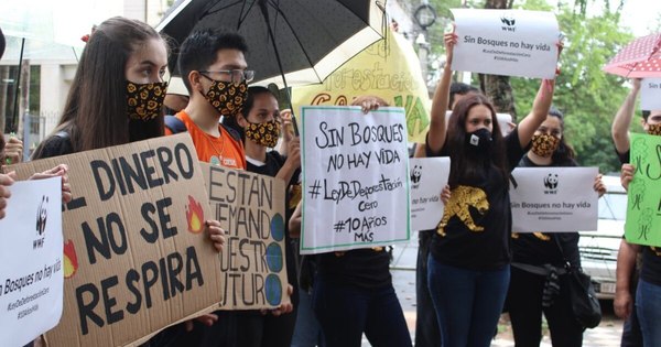 La Nación / Coalición por los Bosques celebra histórica ampliación de la Ley de Deforestación Cero