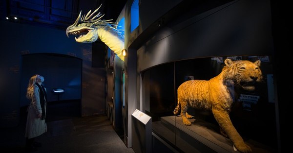 La Nación / Los “animales fantásticos” de J.K. Rowling toman vida en un museo
