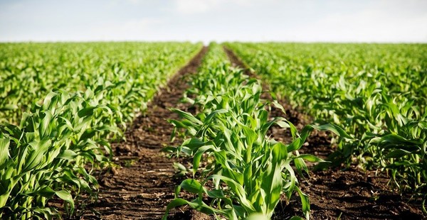 Destacan avances en materia de agricultura mecanizada