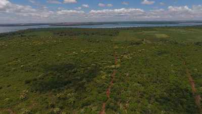 Ejecutivo anuncia que promulgará extensión de Ley de Deforestación Cero en la Región Oriental | .::Agencia IP::.