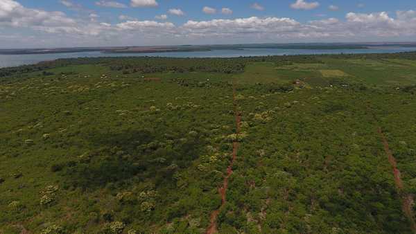 Ejecutivo anuncia que promulgará extensión de Ley de Deforestación Cero en la Región Oriental | .::Agencia IP::.