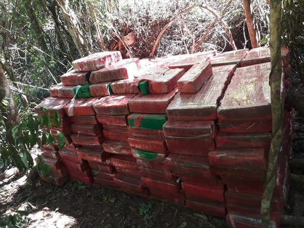 Perseguían a cazadores y se toparon con campamento de traficantes de marihuana - ABC en el Este - ABC Color