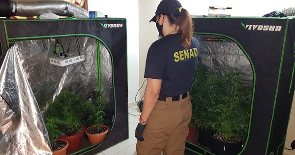La Nación / Creación de la carrera del agente especial antidrogas fue sancionada por Diputados