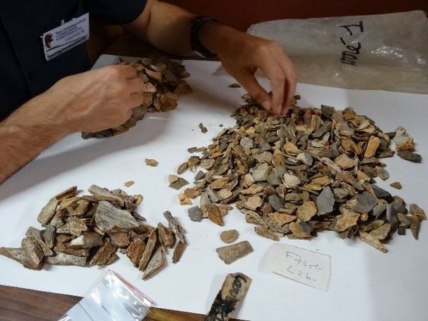Nuevo estudio refuerza la idea de que los neandertales enterraban a sus muertos - Ciencia - ABC Color
