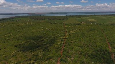LEY DE DEFORESTACIÓN CERO: EL PRESIDENTE ANUNCIÓ LA PROMULGACIÓN DE LA EXTENSIÓN POR 10 AÑOS