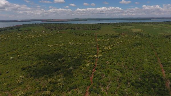 LEY DE DEFORESTACIÓN CERO: EL PRESIDENTE ANUNCIÓ LA PROMULGACIÓN DE LA EXTENSIÓN POR 10 AÑOS